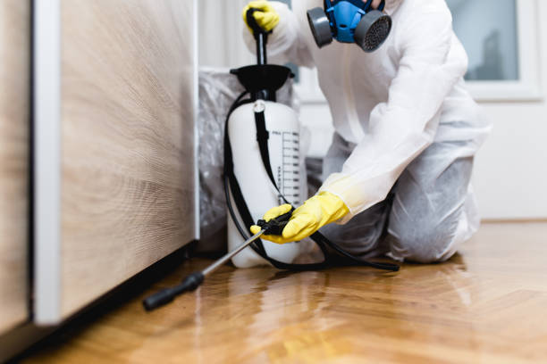 Best Affordable Pest Control Services  in Peebles, OH
