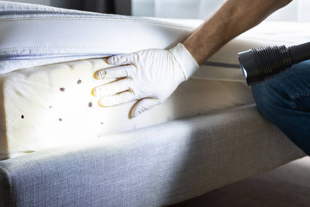 Pest Prevention Services in Peebles, OH