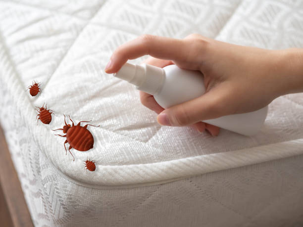Best Best Pest Control Companies  in Peebles, OH