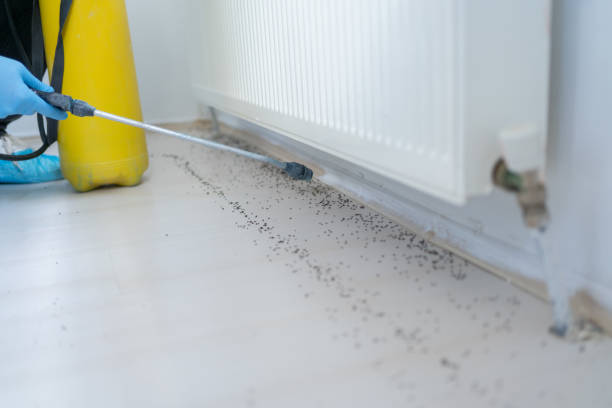 Reliable Peebles, OH Pest Control Solutions